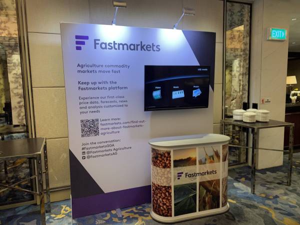 Rental Package 13 - Image 5